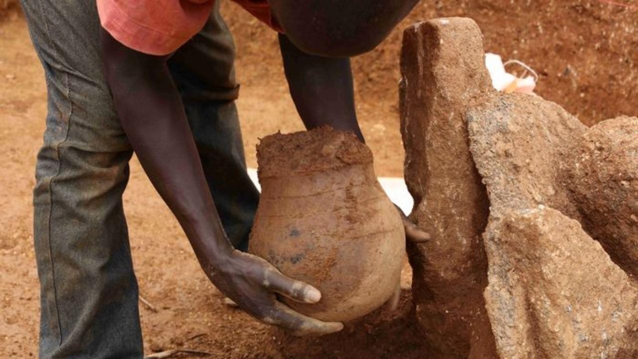Cooked leafy greens were first served 3,500 years ago in West Africa: Study